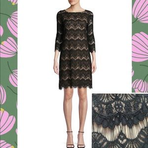 HP♦️NWOT Eliza J Black Lace Shift Dress—Host Pick